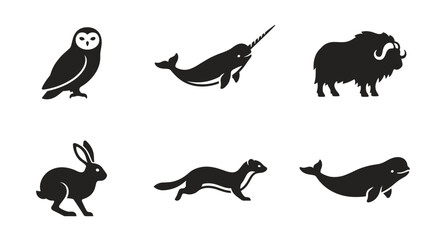 Obraz premium Collection of Arctic animal icons including owl narwhal musk ox rabbit weasel and beluga whale
