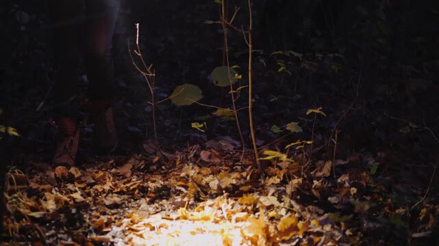 Person walking in forest at night with flashlight illuminating leaves and branches.