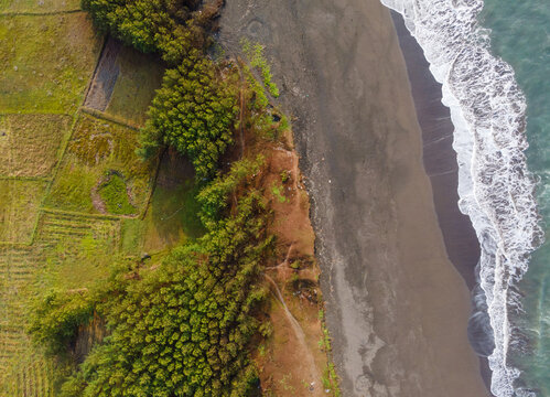 Aerial view of a black sand beach meeting dense forest and agricultural fields along the coastline in Cilacap, Central Java, Indonesia.
