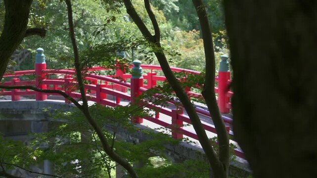Summer at Takaoka Castle, Japan: An ancient bridge with vermilion railings nestled in emerald woods.
