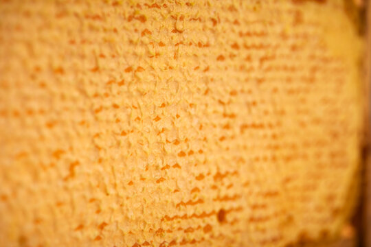 Honeycombs filled with honey, sealed with wax caps, close-up.
