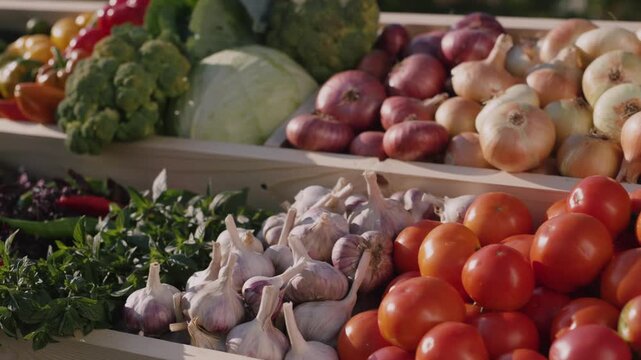 Freshly harvested organic vegetables and herbs displayed at local farmers market, promoting healthy eating and sustainable agriculture with vibrant colors and natural light.
