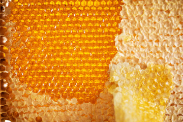 Honeycombs filled with honey, sealed with wax caps, some caps cut off. Close-up of honeycombs filled with honey. © vitals