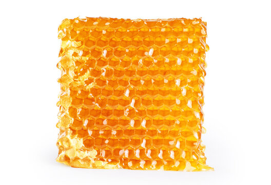 Piece of wax honeycomb filled with honey, isolated on white background.