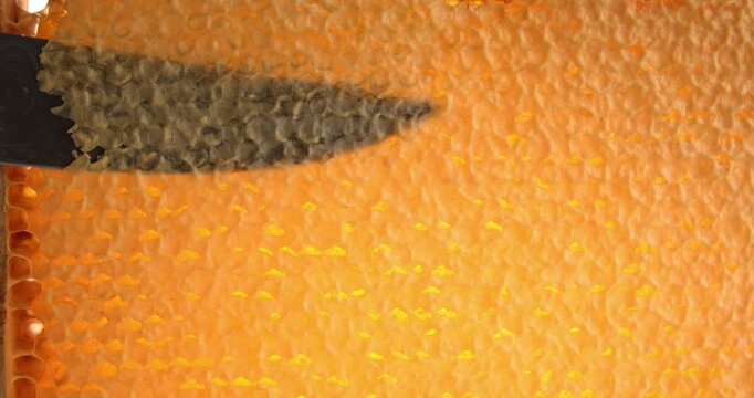 Wooden beehive frame close-up video, knife cuts wax caps from honeycombs, honey flows down the honeycombs.