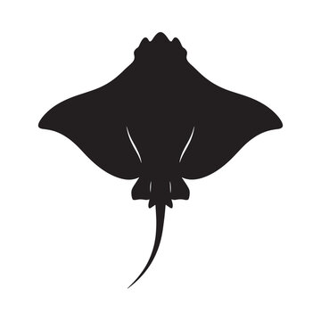 Black stingray silhouette on white background fish