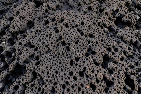 穴の多い溶岩石