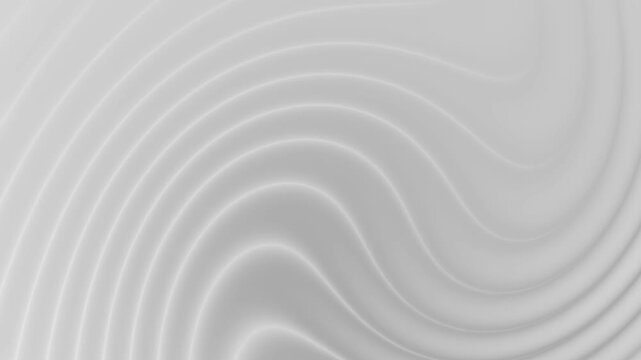 Bright white grey curve lines motion minimal design corporate background. Seamless loop