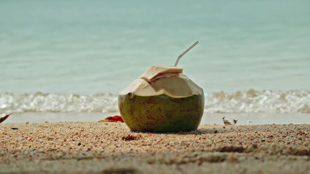 Fresh coconut with straw resting on sandy beach with gentle ocean waves rolling in background.