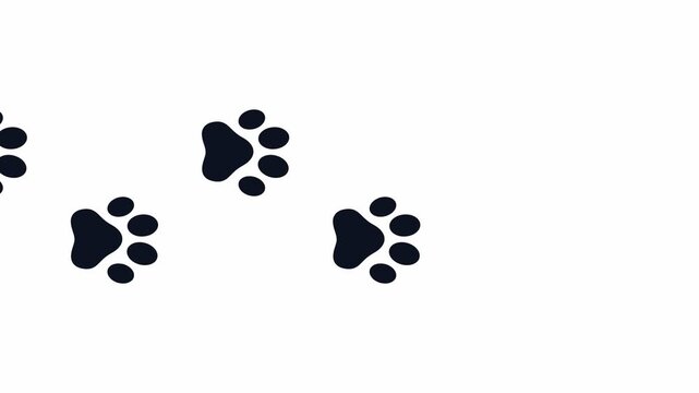 Animal paw prints walking across a minimalist background. 4K Video