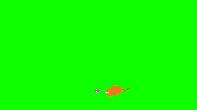 Animated orange cat chasing a grey mouse on a green screen background