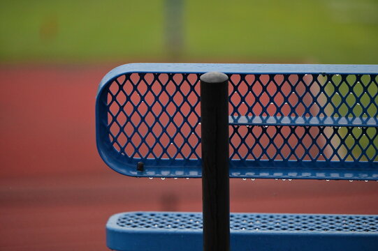 Raindrops on a Park Bench