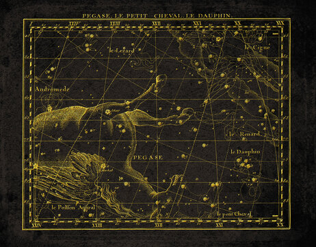 Vintage Constellation Star Map Pegasus Equuleus Delphinus