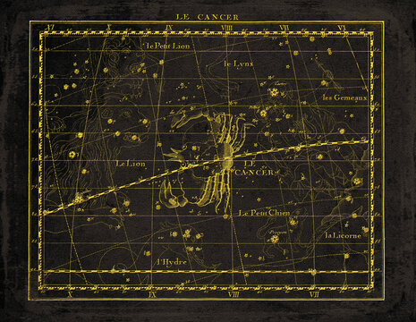 Vintage Constellation Star Map Cancer Leo Hydrus