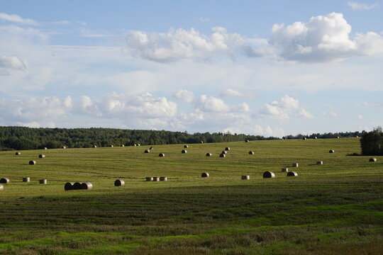 The image shows a rolling green agricultural field dotted with cylindrical hay bales; the sky is partly cloudy.