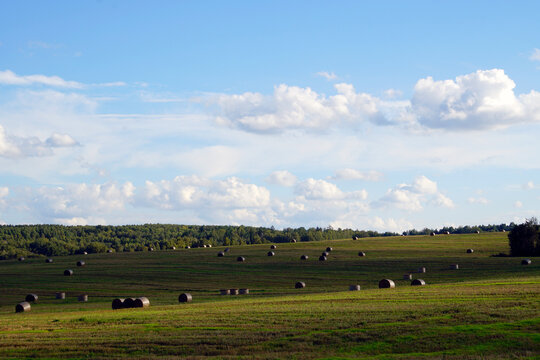 The image shows a rolling green agricultural field dotted with cylindrical hay bales; the sky is partly cloudy.
