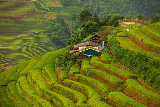 Picturesque rice terraces of Mu Cang Chai on mountain slopes in Vietnam.