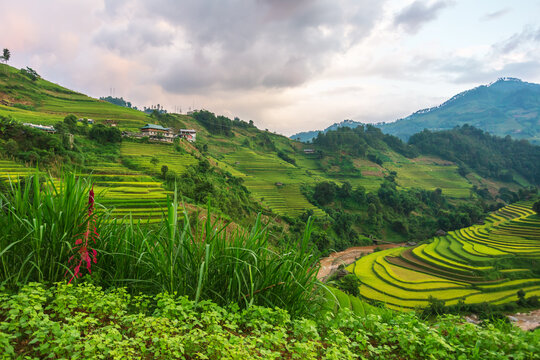 Picturesque rice terraces of Mu Cang Chai on mountain slopes in Vietnam.