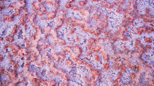 Pink salt lake texture with crystallizing mineral formations on the surface of a colorful hypersaline lagoon, creating a unique and vibrant natural abstract background