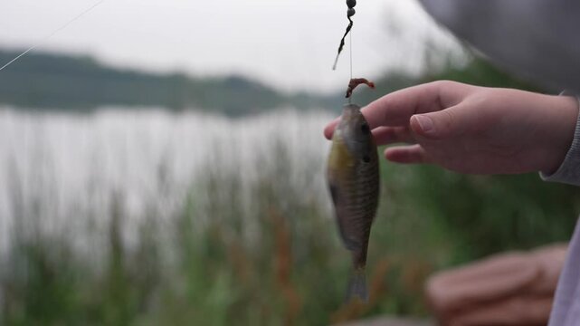Close-up video frame of a child's hand holding a small fish caught on fishing hook, hesitating to unhook it, set against a blurred scenic lake background. Ideal for family fishing, outdoor recreation