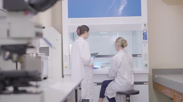 Two lab technicians work together in a modern laboratory with microscopes and samples during a research session