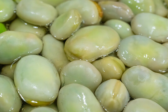 Broad beans or fava beans closeup