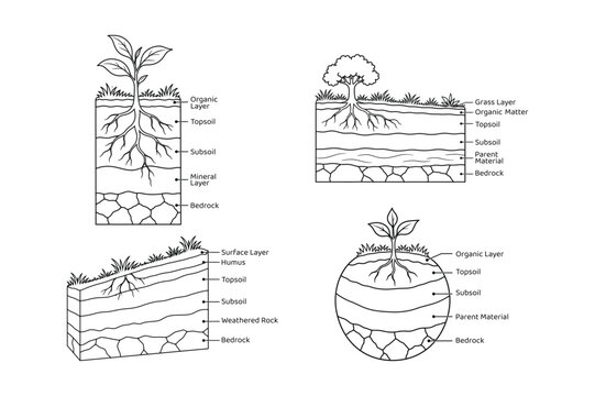 Set of soil profile layers with plants and grass