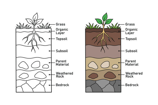 Soil layers profile diagram showing grass and underground earth horizons
