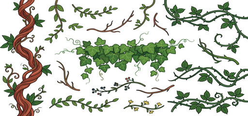 Green Ivy Foliage and Thorny Vine Branch Vector Icon Set Featuring Twisted Tree Roots, Wild Blackberry Brambles, Forest Creeper Plants, and Floral Twigs for Nature Graphic Designs © MdNurjjamal