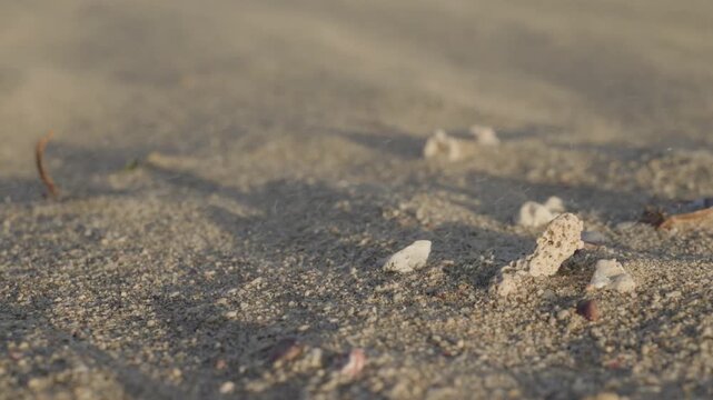 Slow motion close up of wind blowing sand across small stones and seashells on a beach.