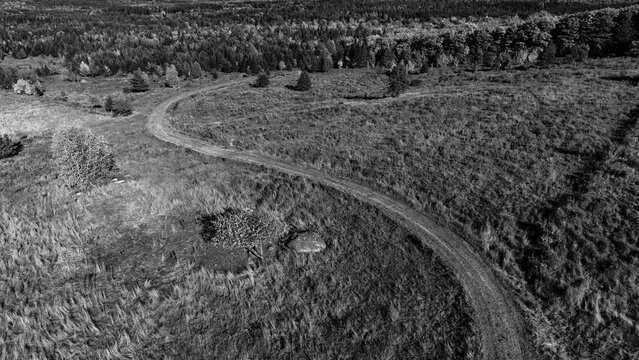 An aerial view of a dirth road in a crop field