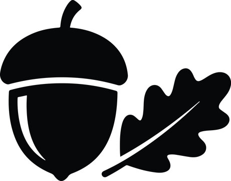 Simple black silhouette icon of an acorn with an oak leaf isolated on a white background