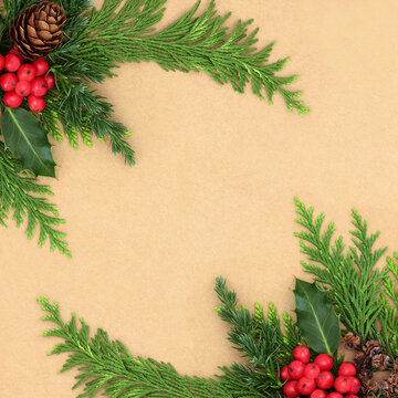Christmas background border of holly, red berries, cedar fir, pine cones on brown paper. Traditional festive design for Xmas holiday season.