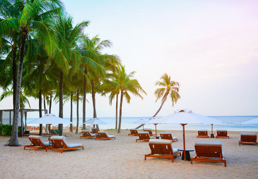 Tropical beach with wooden lounge chairs, white umbrellas, and tall palm trees under soft golden hour sky. Serene beach scene with empty lounge chairs umbrellas on golden sand, framed by lush palm