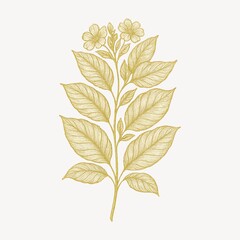 Obraz premium Elegant botanical illustration with flowers.