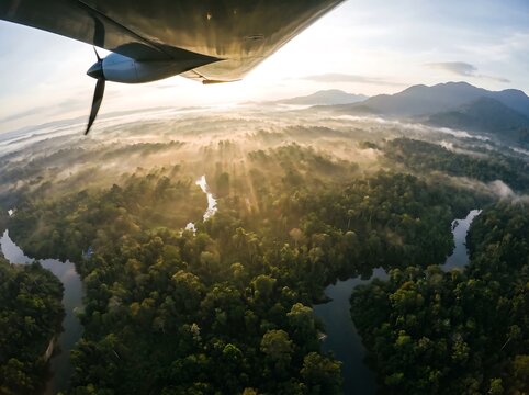 Aerial view from small plane over misty tropical rainforest at sunrise