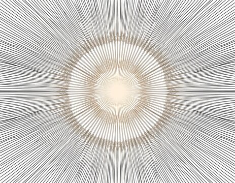 abstract circular geometric radial sunburst pattern with symmetrical lines on white background for design use