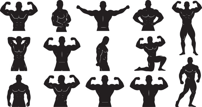 Vector bodybuilding silhouettes vector