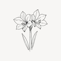 Obraz premium Minimalist floral line art