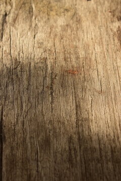 Textura de madeira r&uacute;stica velha e desgastada pelo sol, tronco grosso com linhas profundas e marcadas em meia sombra