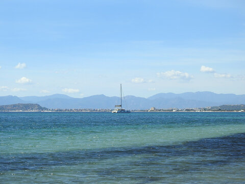 Mare
