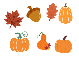 Autumn harvest elements set with pumpkins and acorns