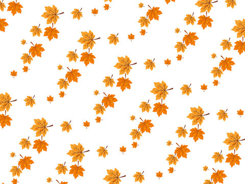 Diagonal falling autumn maple leaves pattern background