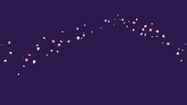 Pink cherry blossom petals floating in trails on purple background