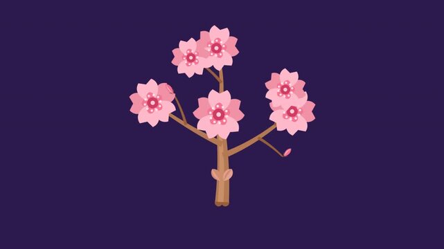 Stylized pink cherry blossom tree animation blooming on purple background