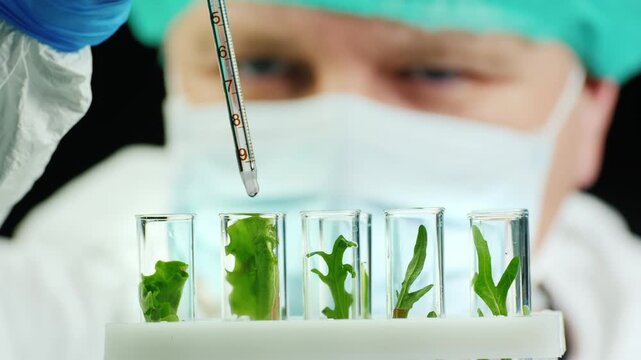 Scientist adding liquid from dropper to plant samples in test tubes for research.