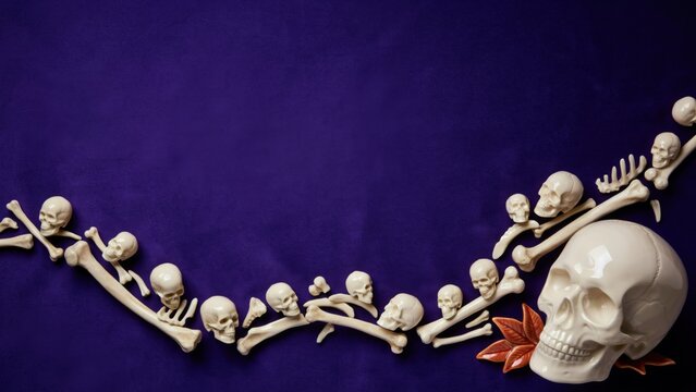 Creative arrangement of skulls and bones on a dark purple background