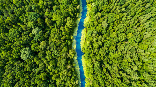 R&iacute;o serpenteante de color azul intenso corta un bosque verde vibrante visto desde arriba. Naturaleza pura y pr&iacute;stina en su m&aacute;xima expresi&oacute;n.