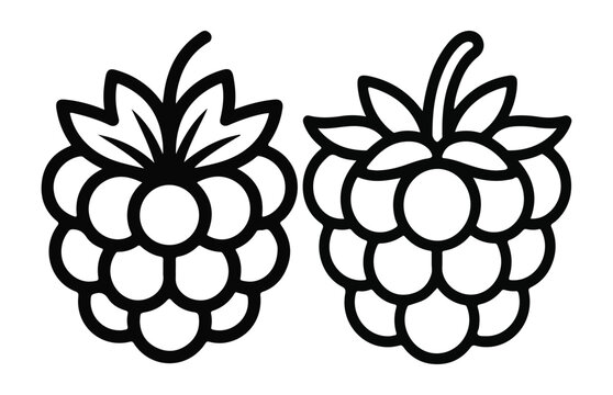 Minimalist outline style raspberry vector icon set with detailed texture for fruit design elements.