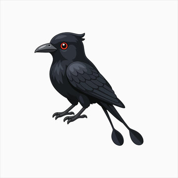 Racket tailed Drongo striking bird vector illustration